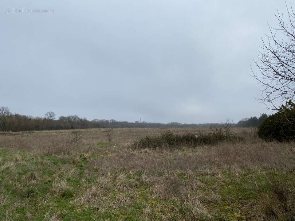 Terrain 404 m² à Pont-L'abbe-D'arnoult  - photo 3
