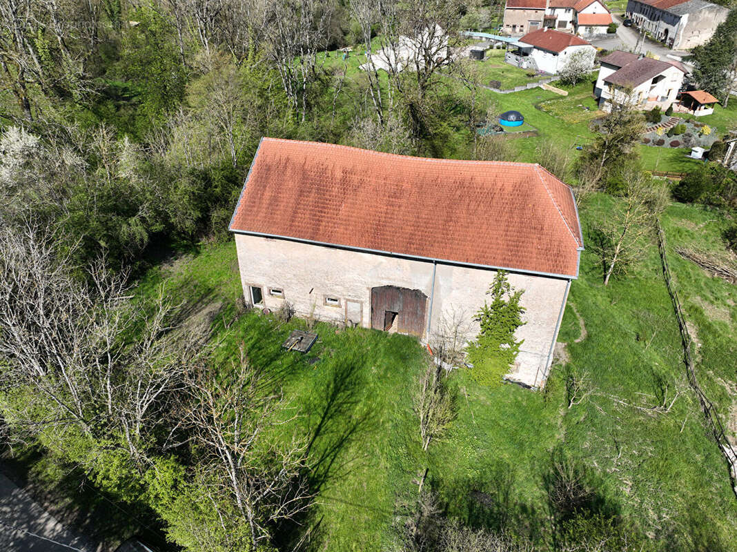 Grange Waldwisse de 250 m²  sur un terrain de  3 hectares et 63 ares - photo 14