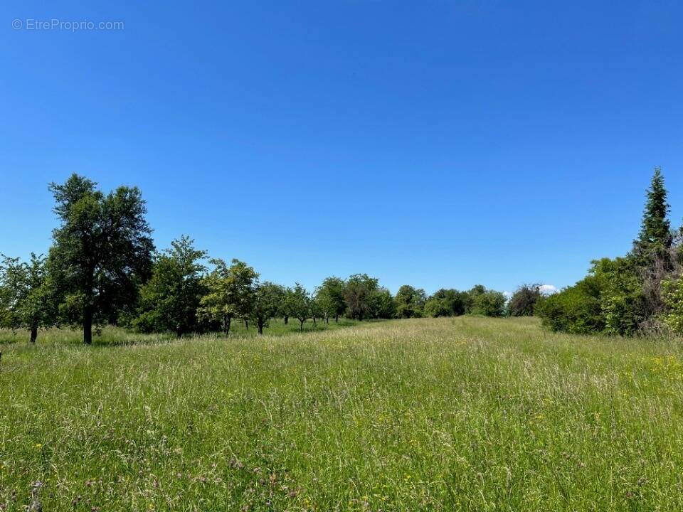 Terrain à BURNHAUPT-LE-BAS