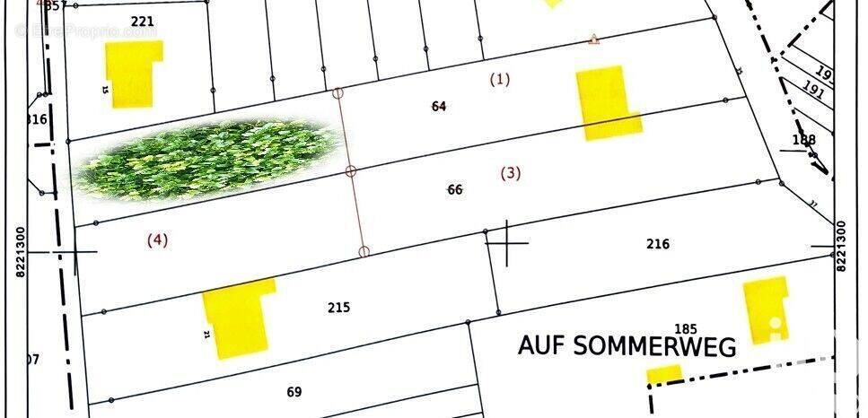 Photo 1 - Terrain à THEDING