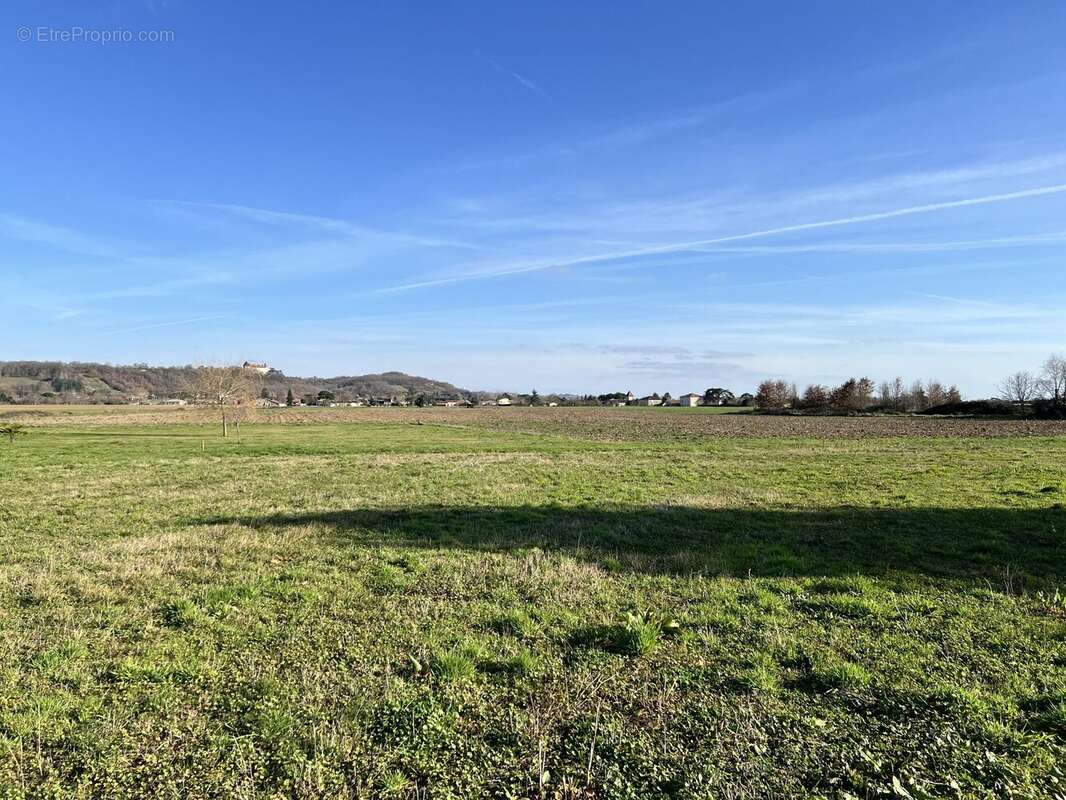 Terrain à GOUDOURVILLE