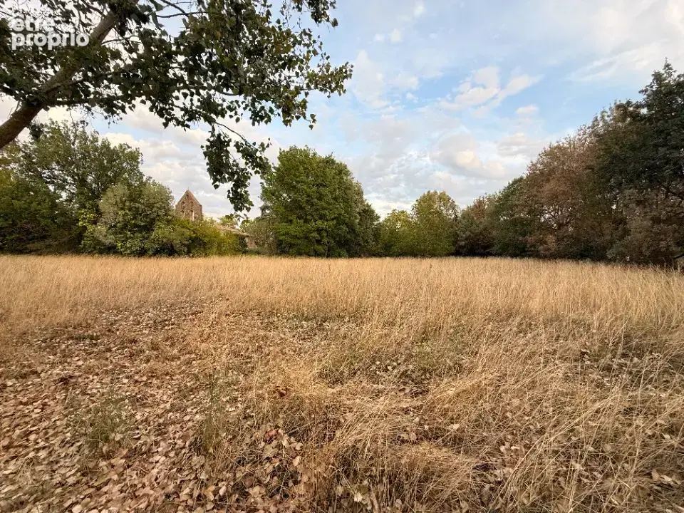 Terrain 2 376 m² à vendre à Roumens (31540) - photo 3