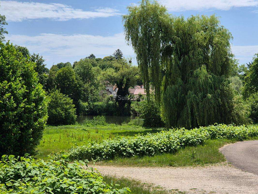 Grande Maison bord de Saône 10 pièce(s) 550 m2  avec terrasse et Parking - photo 17