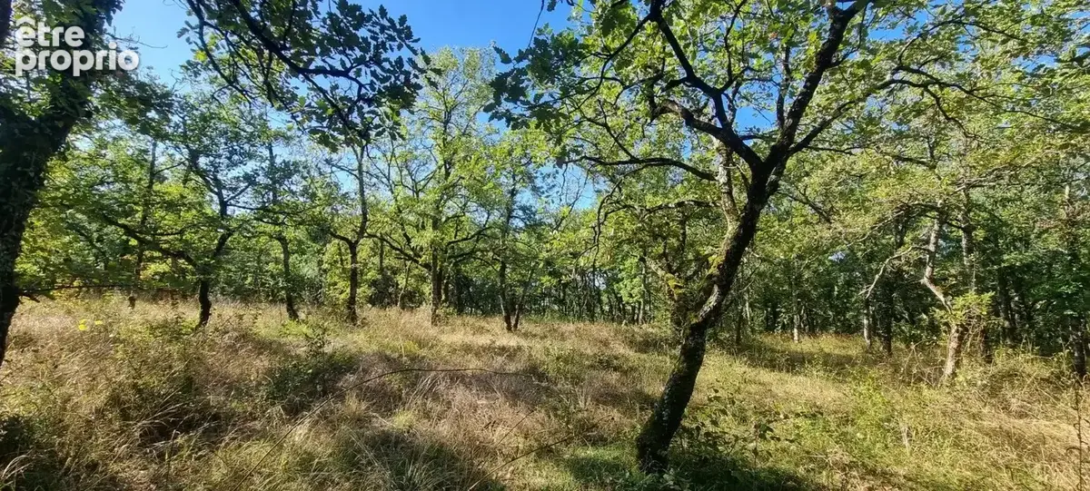 Terrain 2956m2 - photo 3
