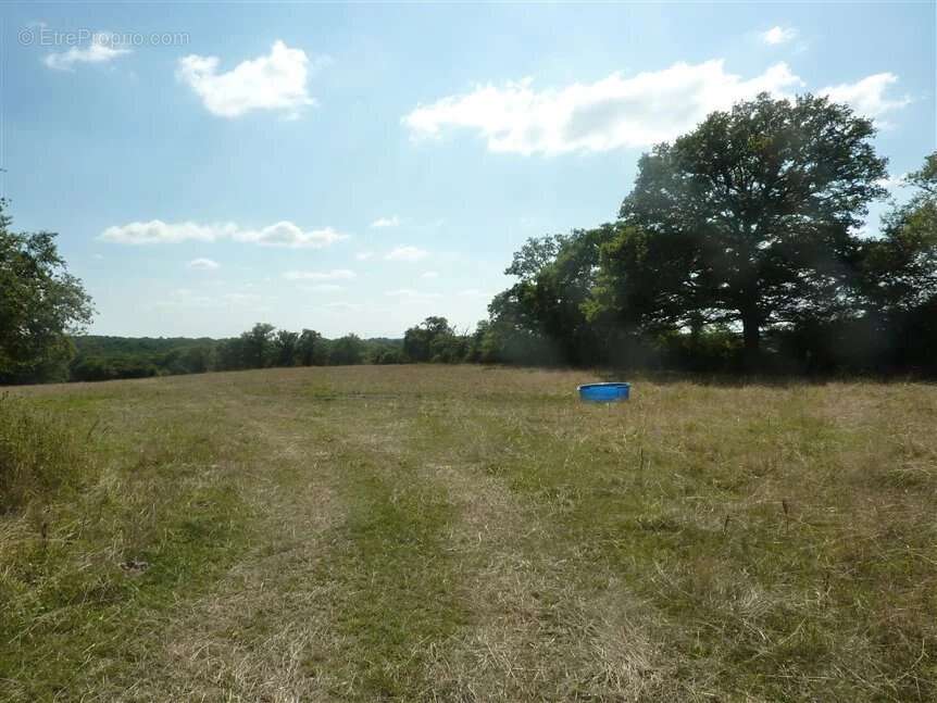 Maison à SAINT-LEGER-MAGNAZEIX