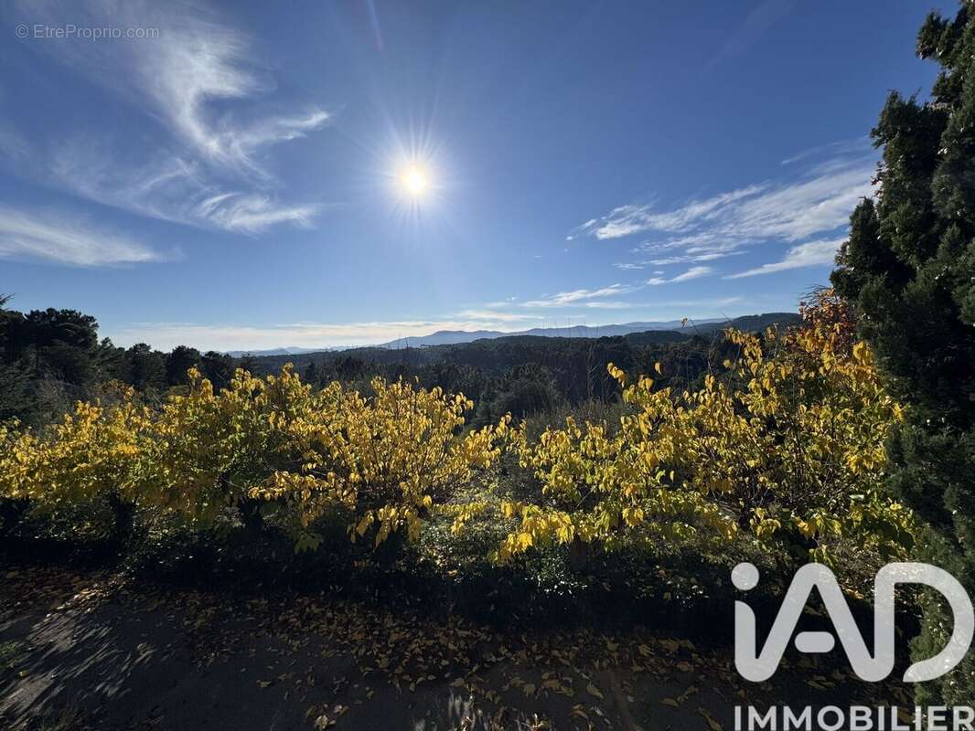 Photo 8 - Maison à PLANZOLLES