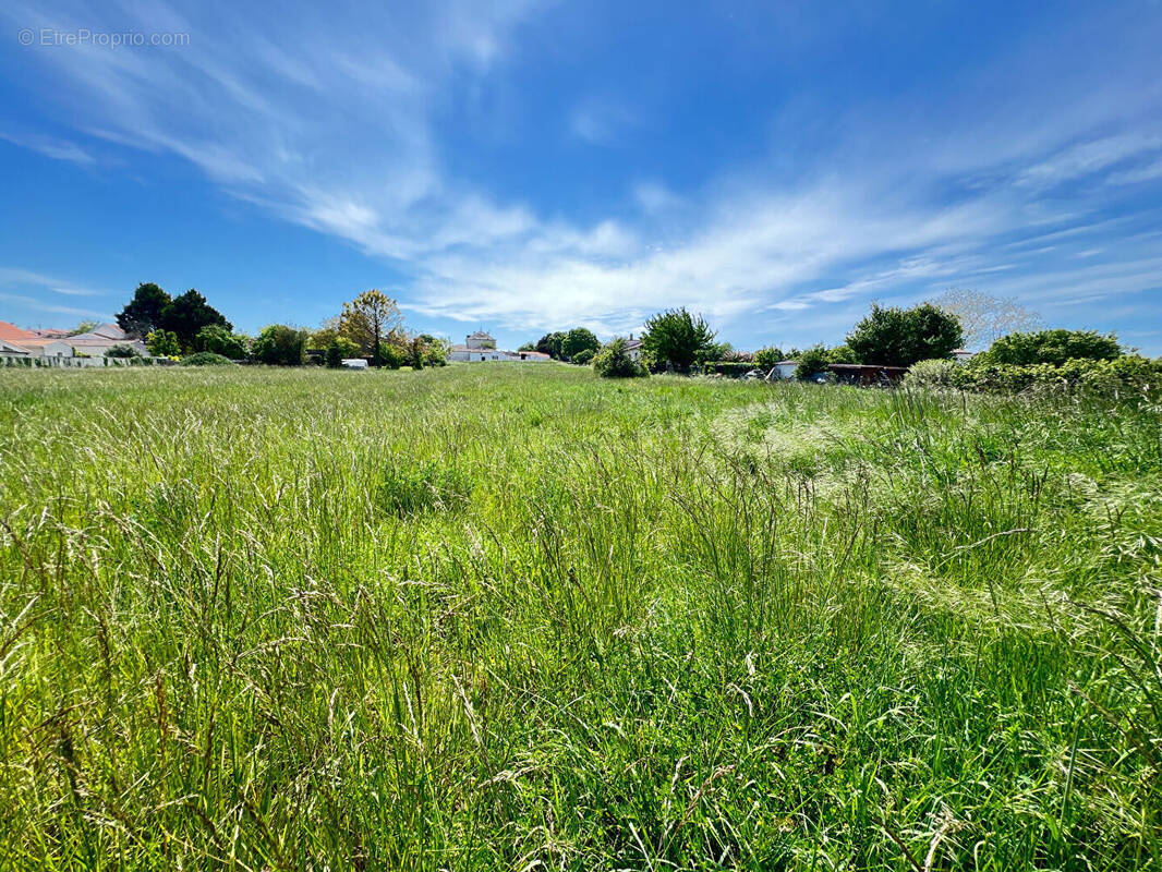 Terrain à ARVERT