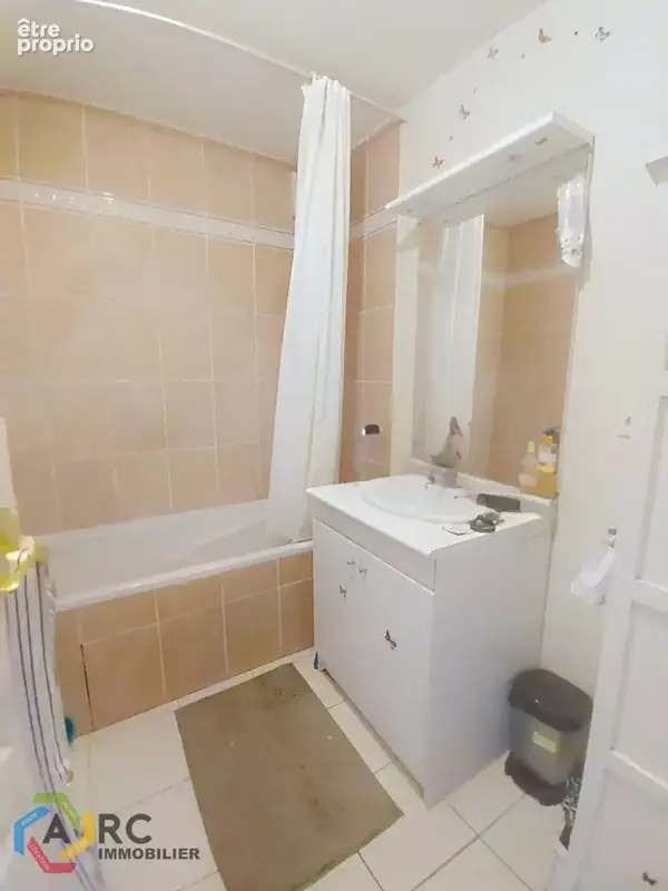 Appartement Saint Jean De Braye 4 pièce(s) 105 m2 - photo 5