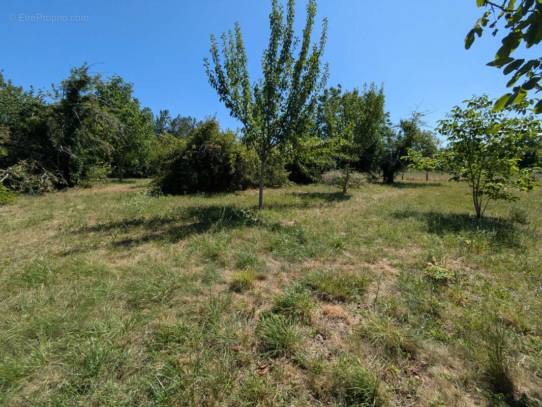 Grange avec terrain à bâtir - photo 7