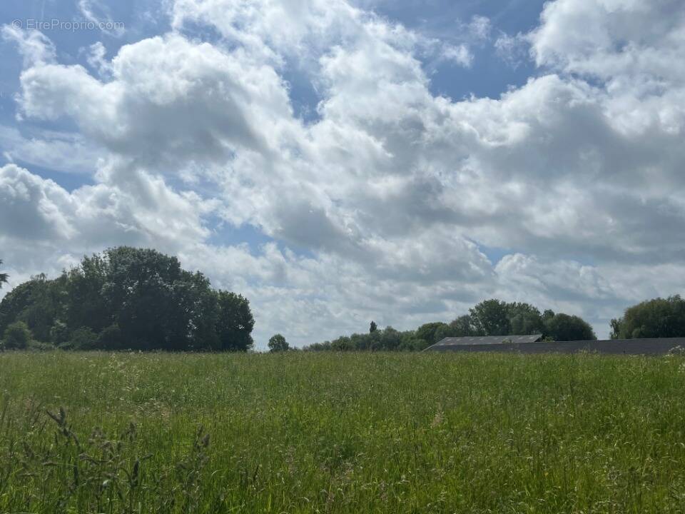 Terrain à PONTHOILE