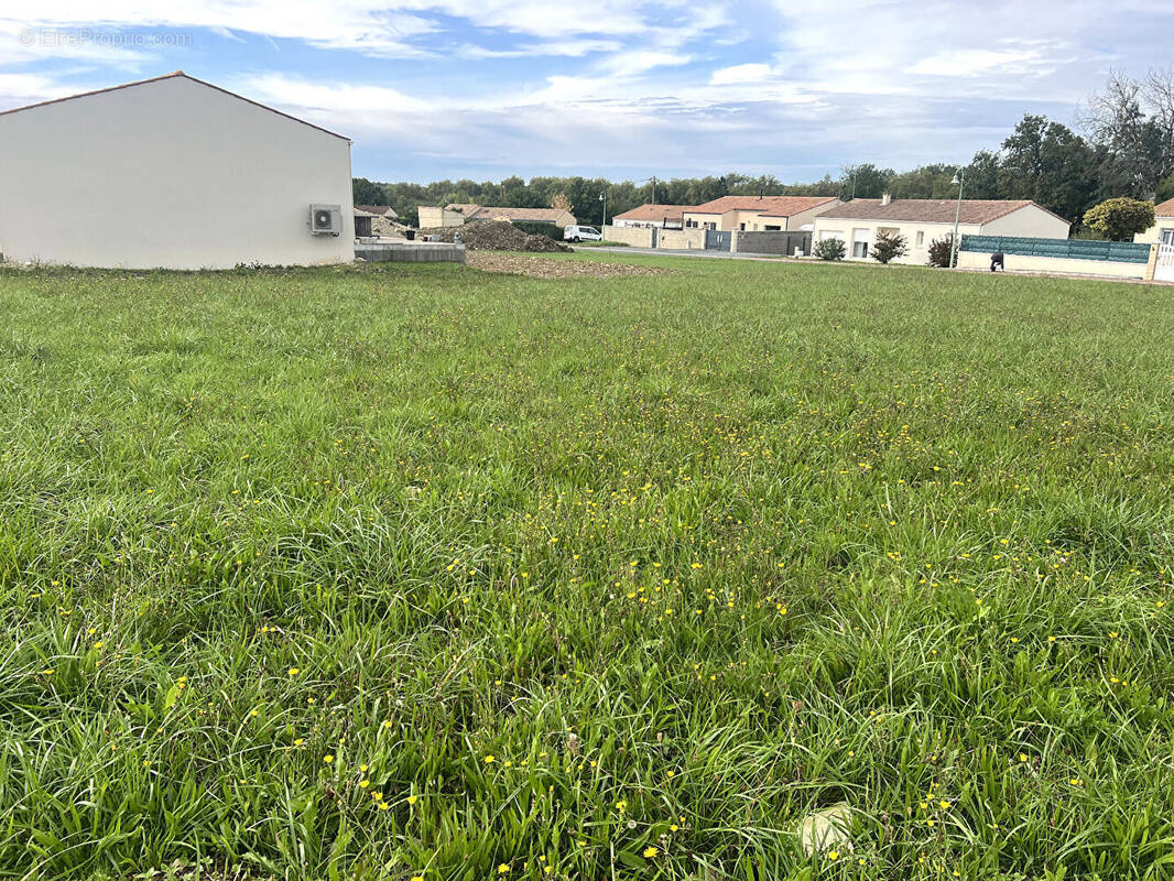 Terrain à ASNIERES-LA-GIRAUD