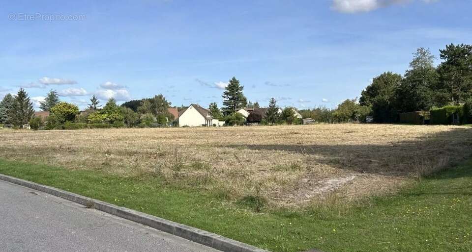 Terrain à BEHOUST