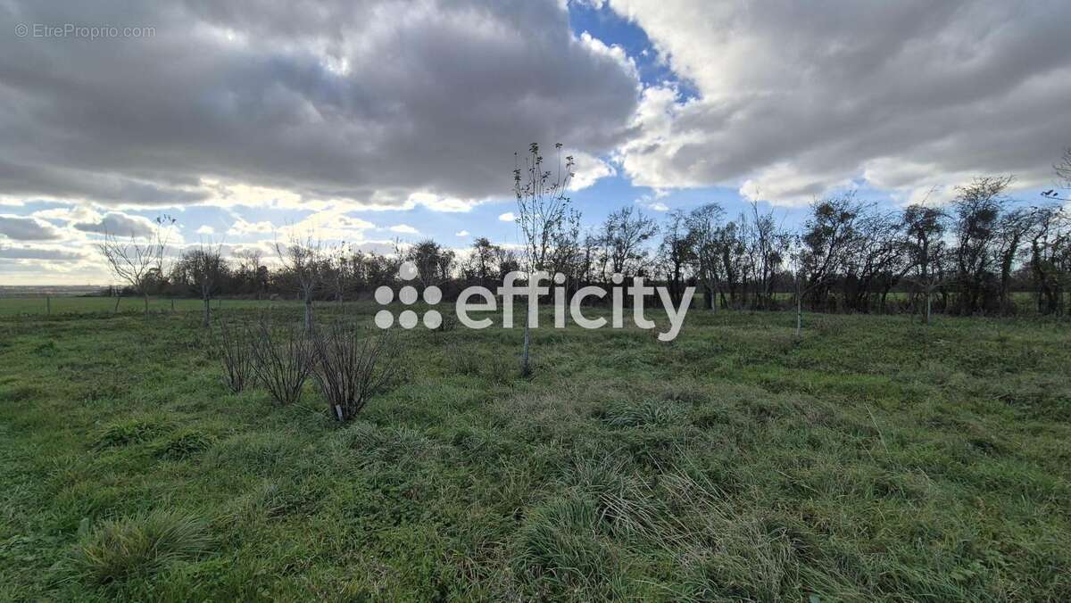Maison 40 m² à Bazenville  - photo 5