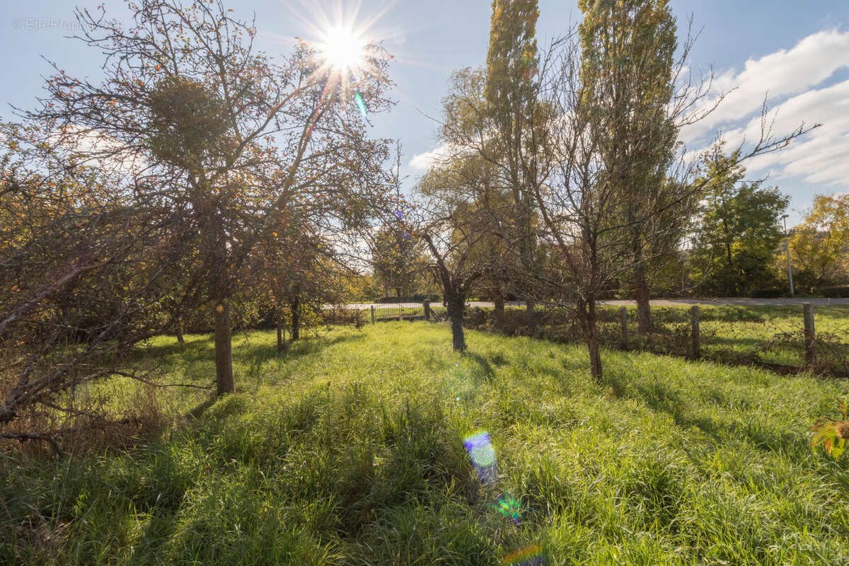 Terrain à SAINT-MEDARD-SUR-ILLE