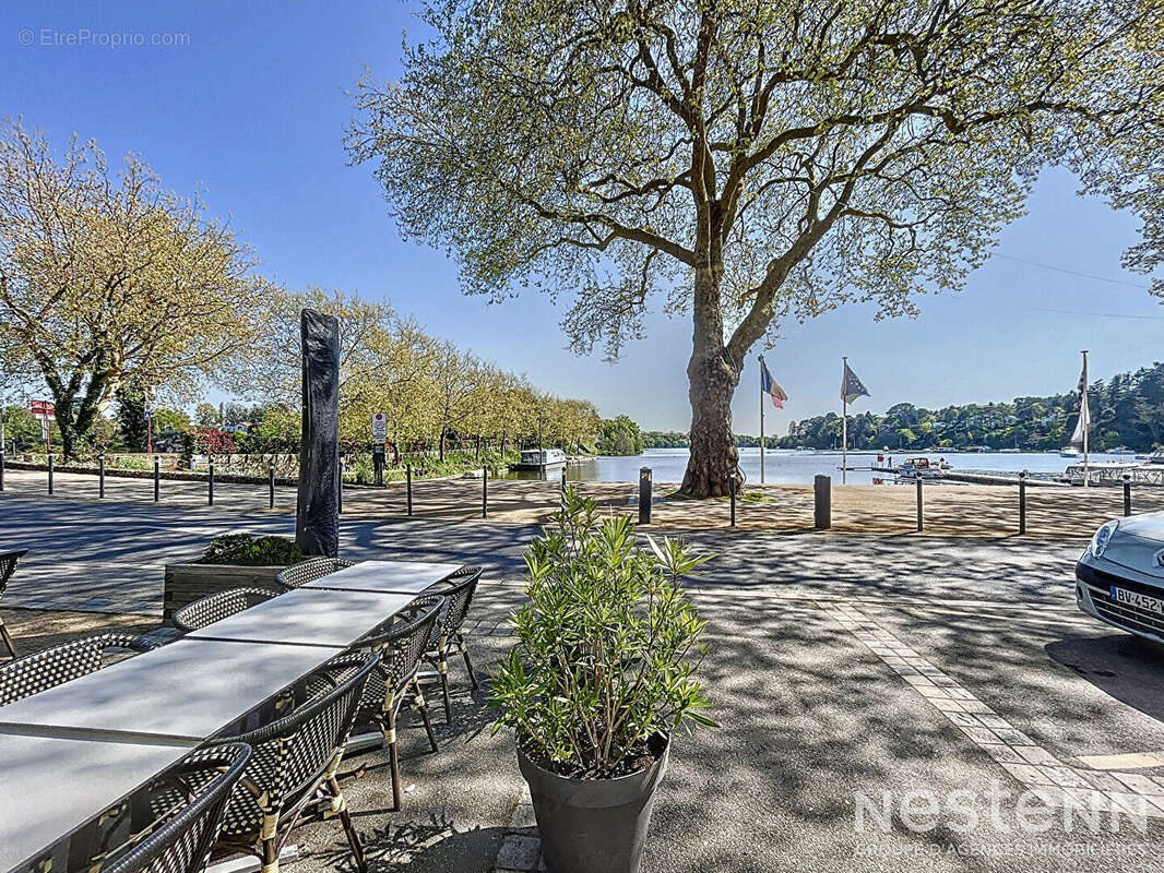 Commerce à SUCE-SUR-ERDRE