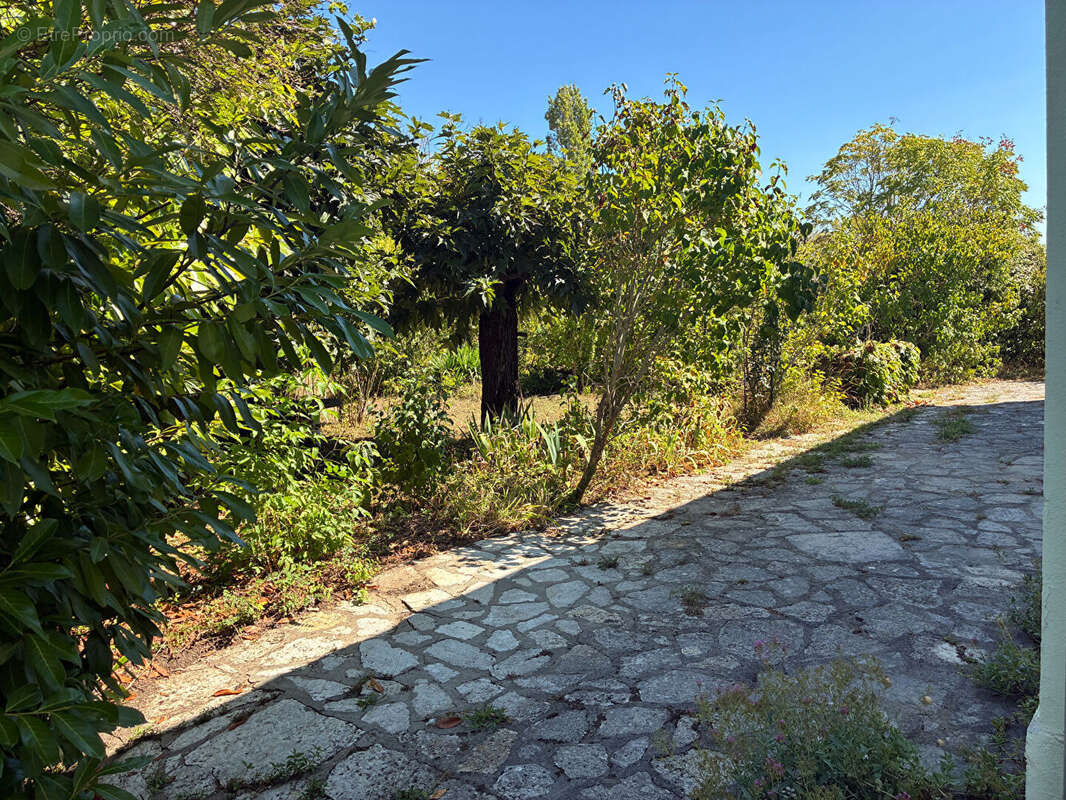 Maison à SAINTE-LIVRADE-SUR-LOT