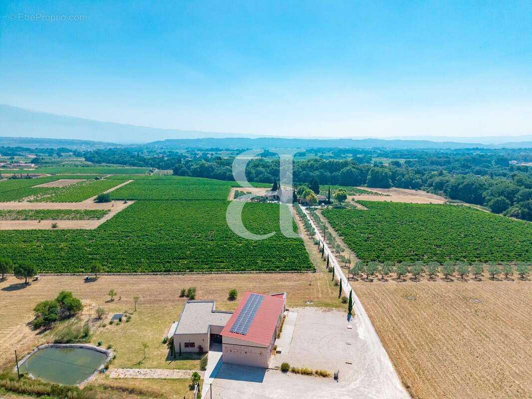 Maison 450 m² à Caromb  - photo 6