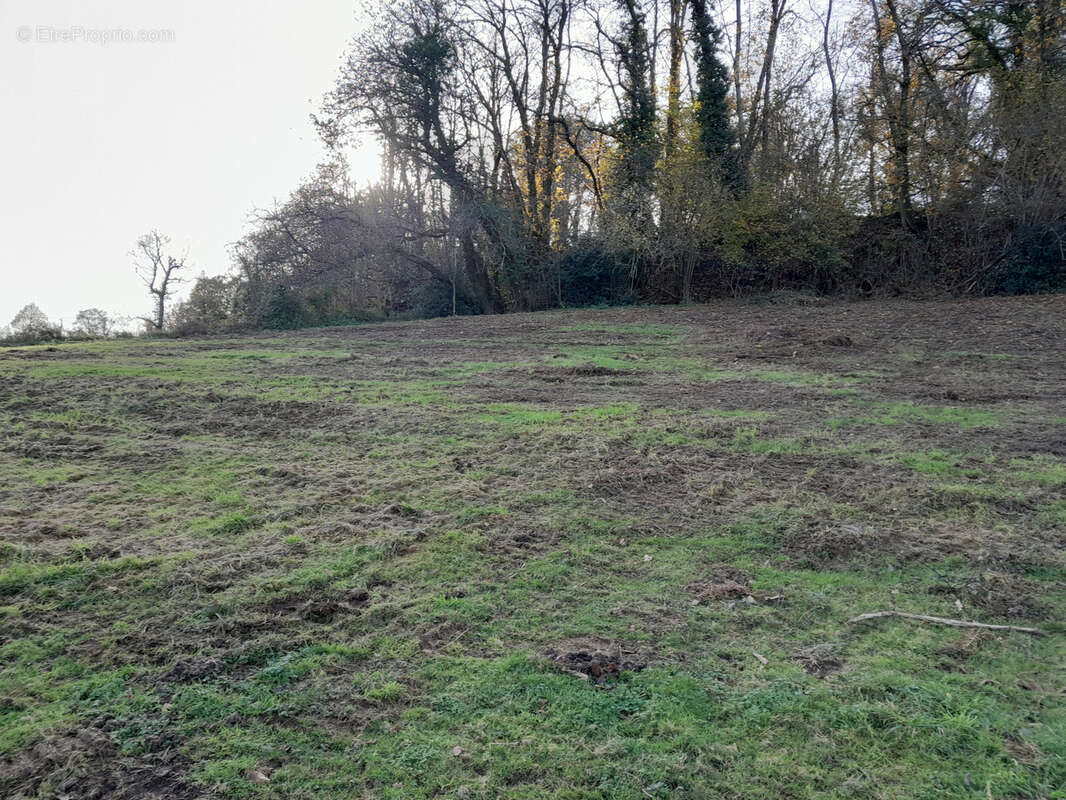 Terrain à POUEYFERRE