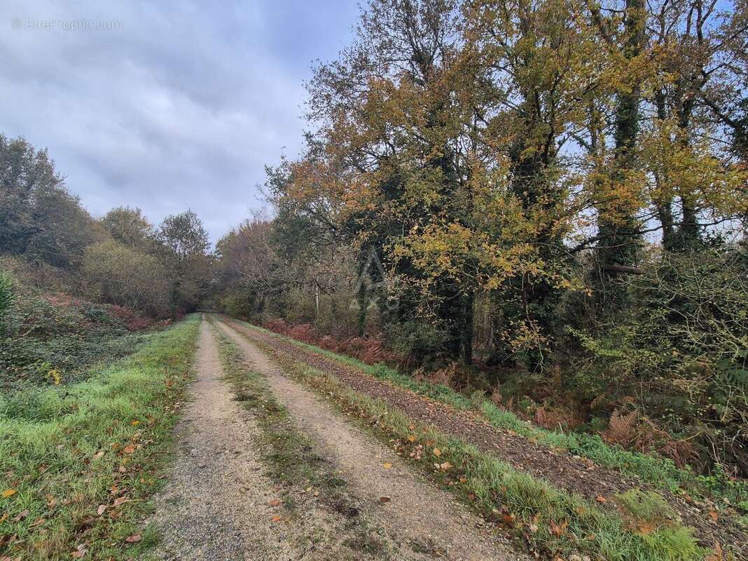 Maison à LONGUE-JUMELLES