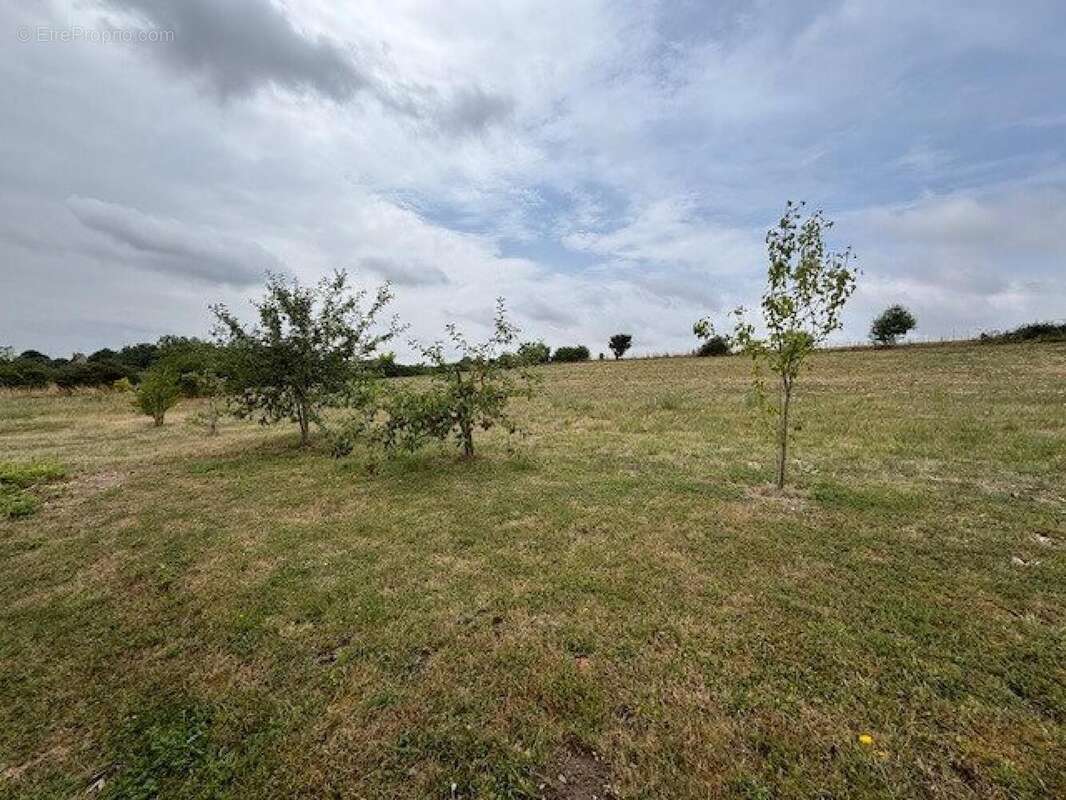 Photo 3 - Maison à LOCHES