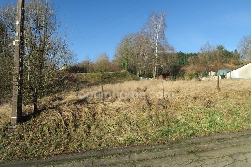 Terrain à PIERREPONT