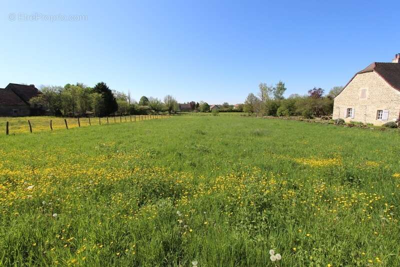 Dpt Côte d'Or (21), à vendre PAINBLANC, terrain à Bâtir de 1174 m² - photo 2