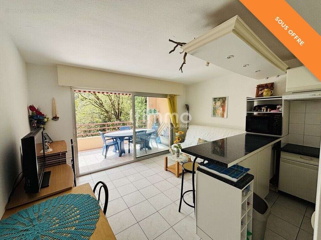 Villeneuve Loubet/Vaugrenier, 2P terrasse plein sud, piscine, pa - photo 2