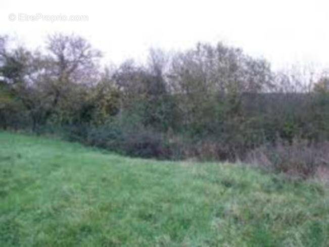 Terrain à SAINT-MARDS-EN-OTHE