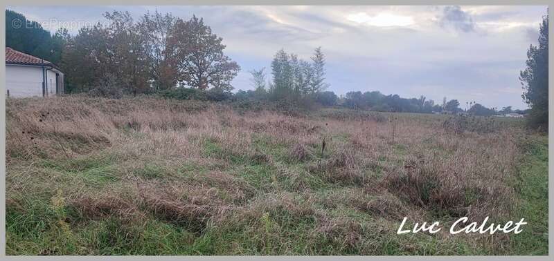 Terrain à SAINT-LIEUX-LES-LAVAUR