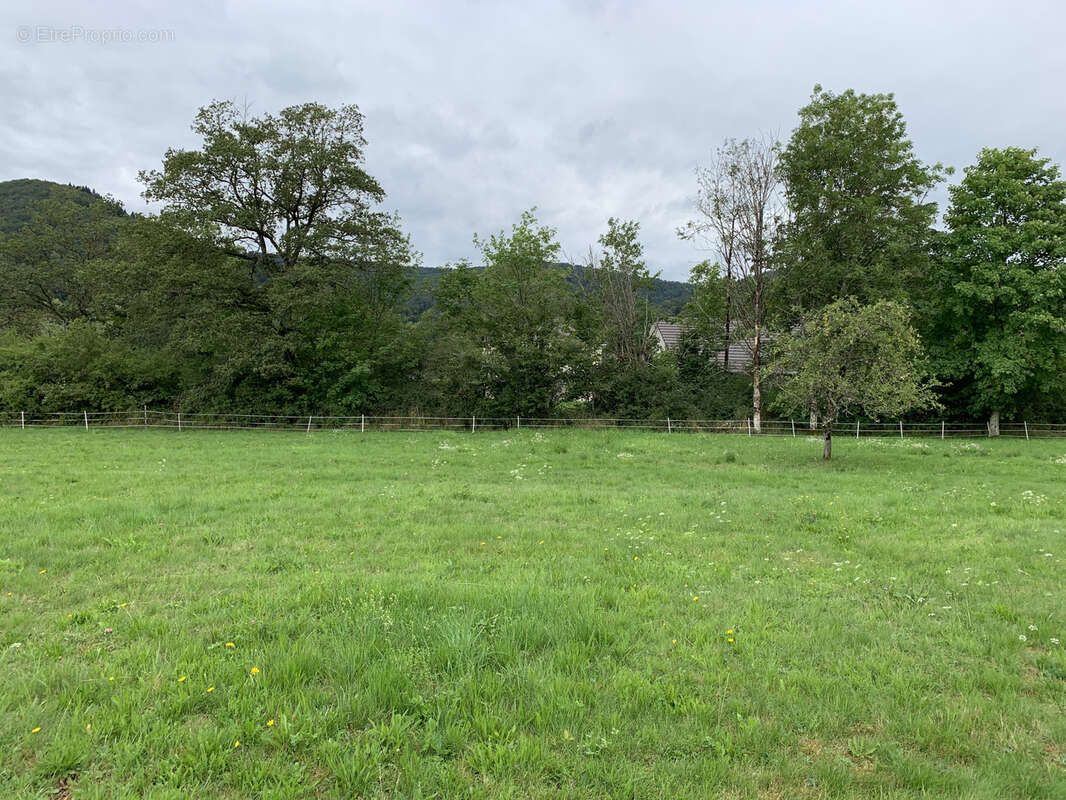 Terrain à PLANCHER-BAS