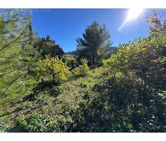 Terrain à LA PENNE-SUR-HUVEAUNE