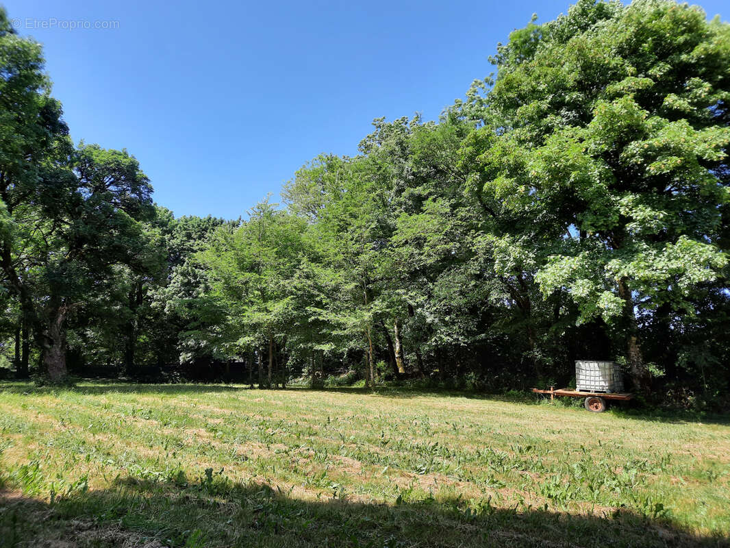 Terrain à VIALA-DU-PAS-DE-JAUX