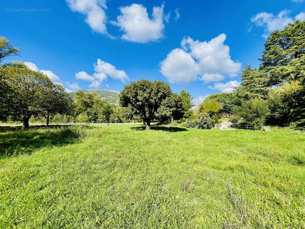Terrain à BUIS-LES-BARONNIES