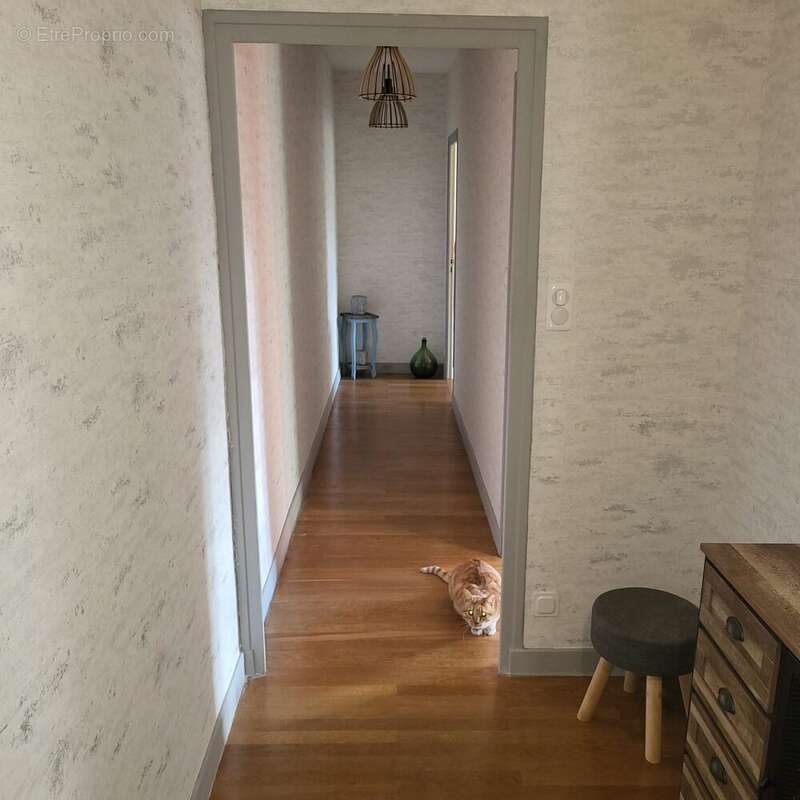 Appartement à SAINT-CHRISTOPHE-EN-BRESSE
