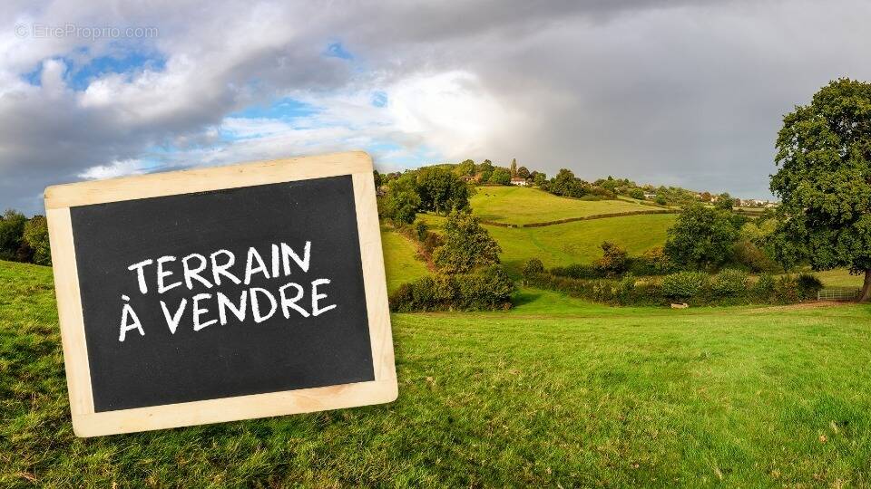Terrain à EU