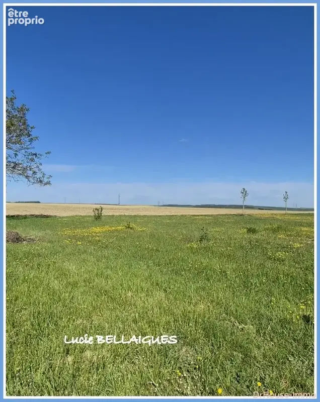 Terrain 2 742 m² à vendre à Onjon (10220) - photo 43