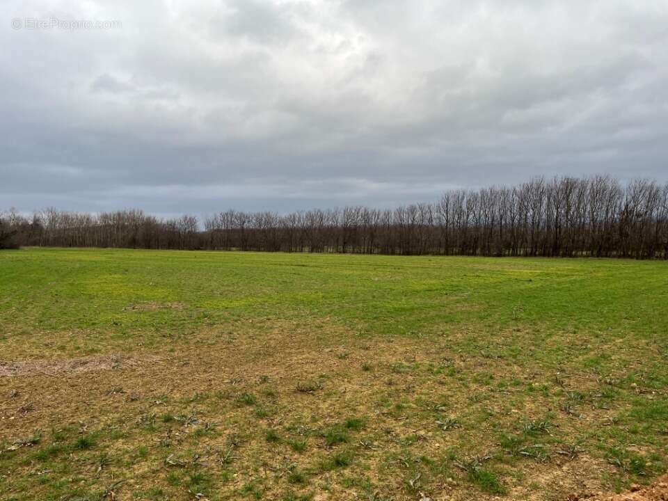 Terrain à VALENCE