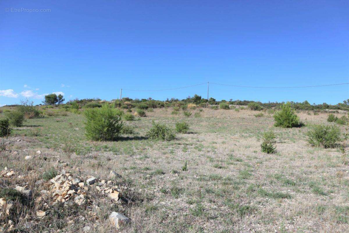Maison à BIZE-MINERVOIS