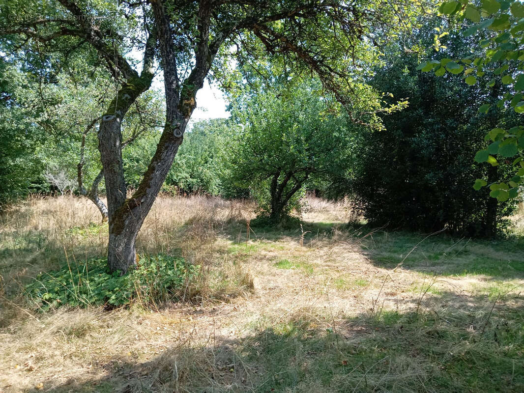 Maison de campagne ! - photo 19