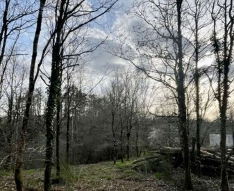 Maison à LA ROCHE-SUR-YON