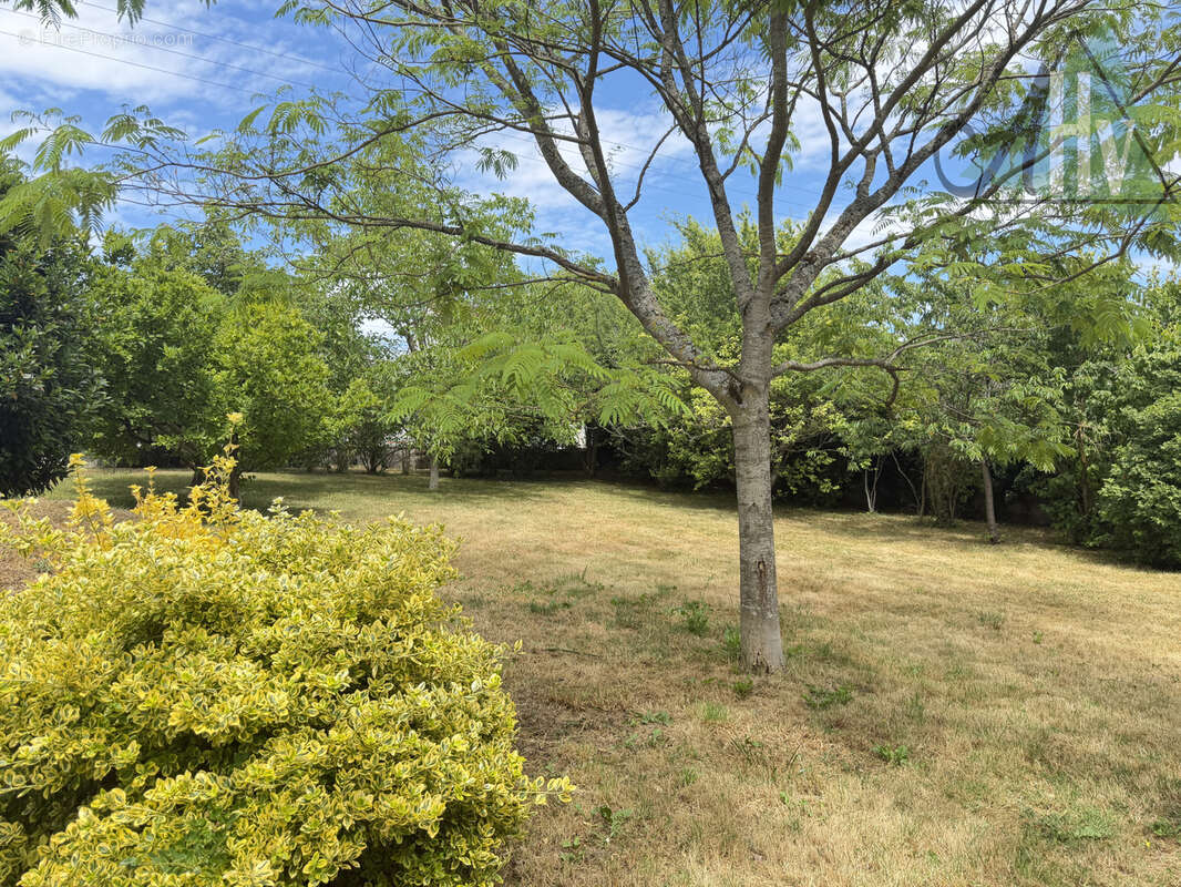 Maison de caractère - 160 m2 - 7 pièces - LONGUEVILLE - photo 3