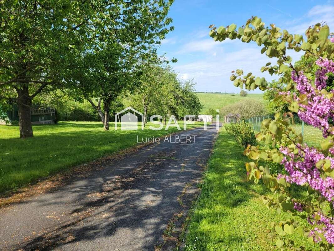 Photo 8 - Maison à MOUSSEY