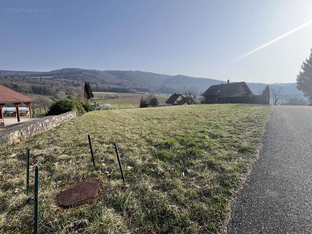 Terrain à WOLSCHWILLER