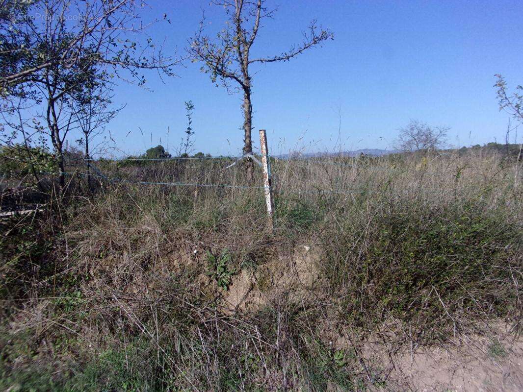 Terrain à SAINT-PONS-DE-MAUCHIENS