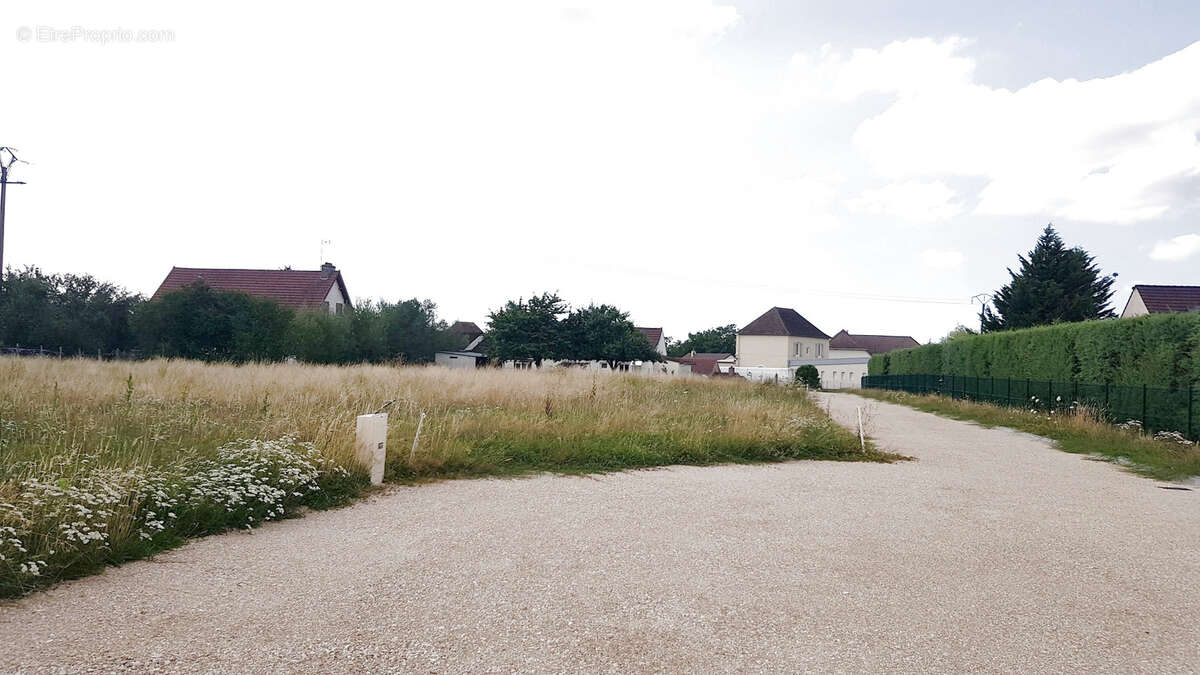 Terrain à L&#039;ABERGEMENT-SAINTE-COLOMBE