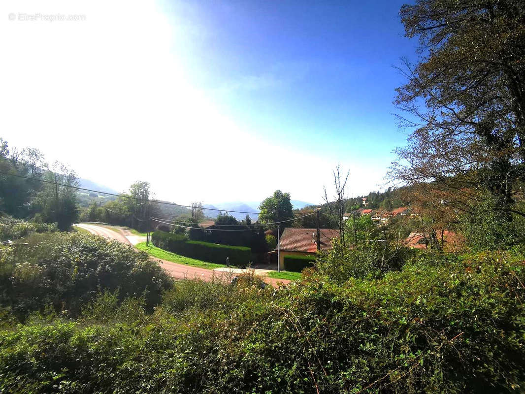 Terrain à SAINT-CLAUDE