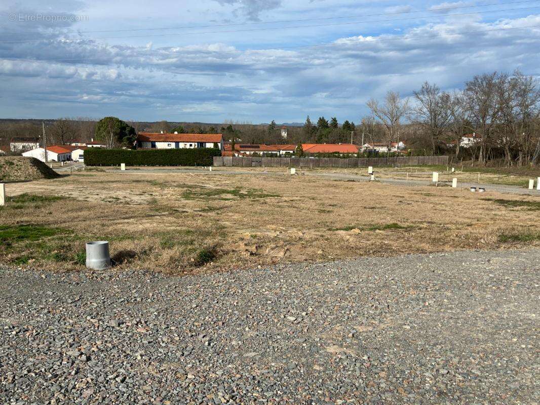 Terrain à PONCINS