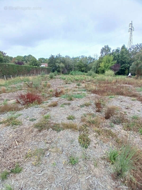 Terrain 673m² à bidart - photo 3