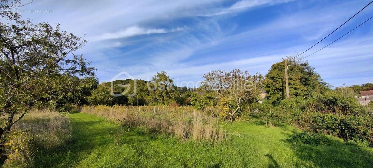 Terrain à PARIGNY-LES-VAUX