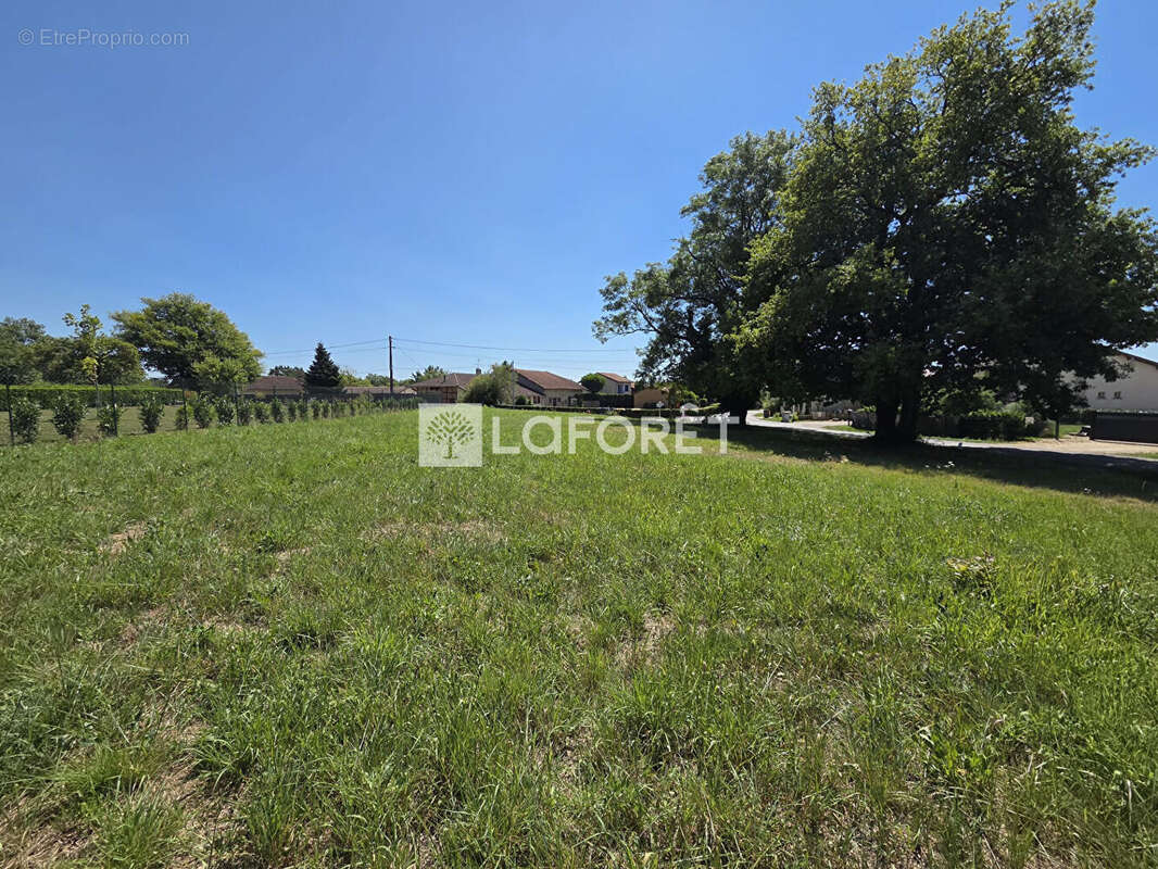 Terrain constructible - VIRIAT - photo 4